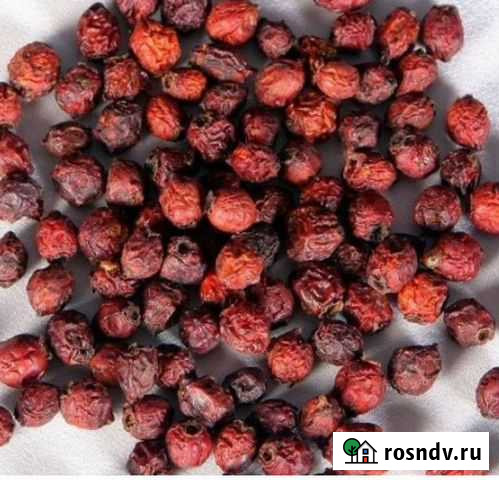 Боярышник Нижний Новгород - изображение 1