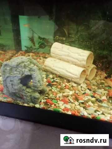 Аквариум 80 литров Люберцы - изображение 1