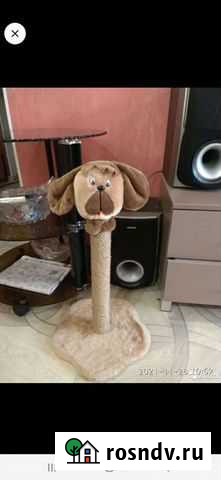 Когтеточка Благовещенск - изображение 1