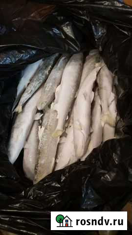 Рыба Хабаровск - изображение 1