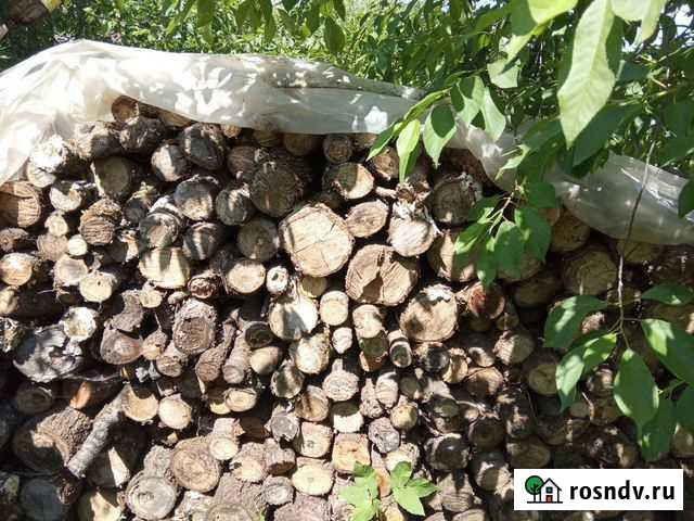 Дрова Полотняный Завод - изображение 1