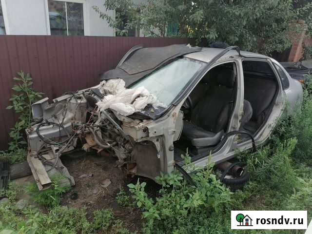 Калина Грушевская - изображение 1