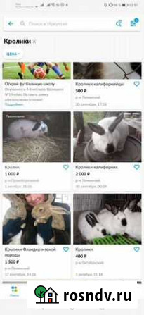 Продам кроликов Иркутск - изображение 1