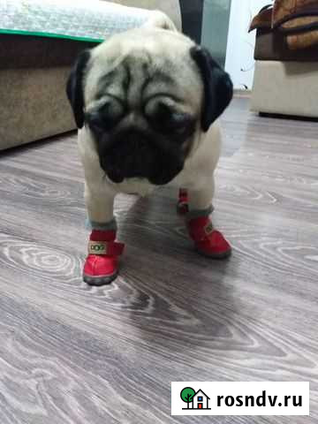 Меховые сапожки Салават - изображение 1