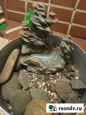 Грунт для аквариума Самара - изображение 1