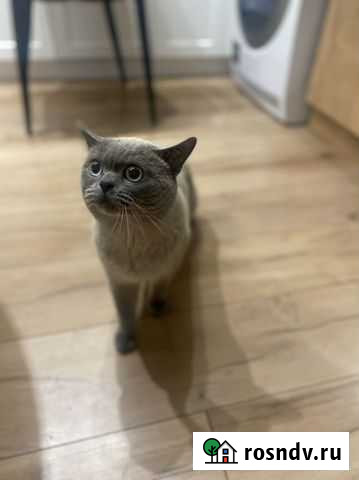 Вязка Новоалтайск - изображение 1