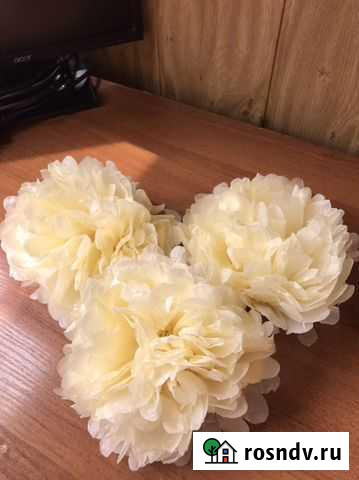 Бумажные цветы для декора Астрахань - изображение 1