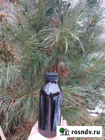 Хвойный экстракт Кедровый Каратузское - изображение 1