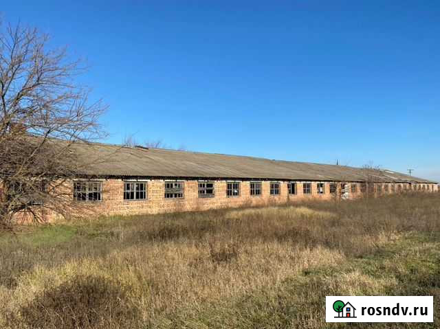 Ферма Приморка - изображение 1