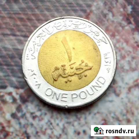 One pound Петрозаводск - изображение 1