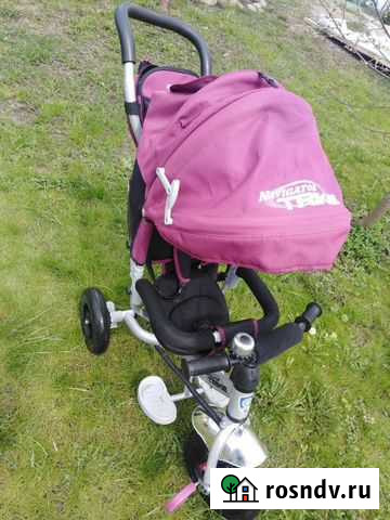 Хороший друг вашим малышу дя прогулок Смоленск - изображение 1