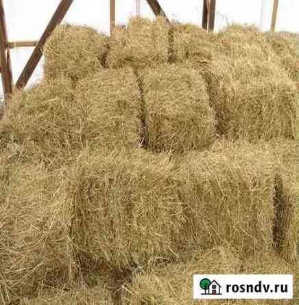 Сено в тюках Зеленокумск