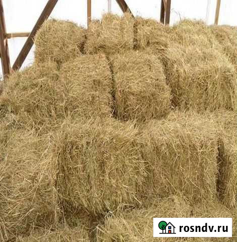 Сено в тюках Зеленокумск - изображение 1
