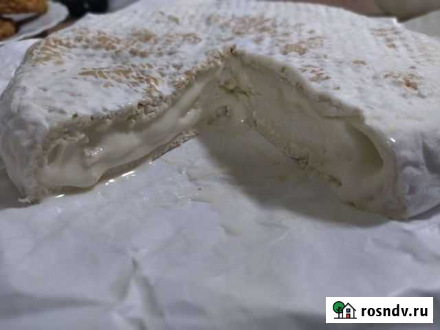 Сыроварня Весёлая Коза. Наш сыр из молока Натухаевская - изображение 1