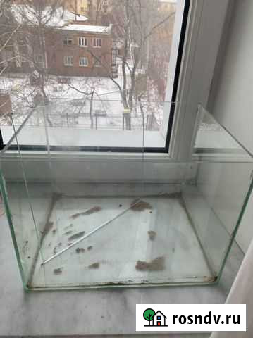 Аквариум Омск - изображение 1