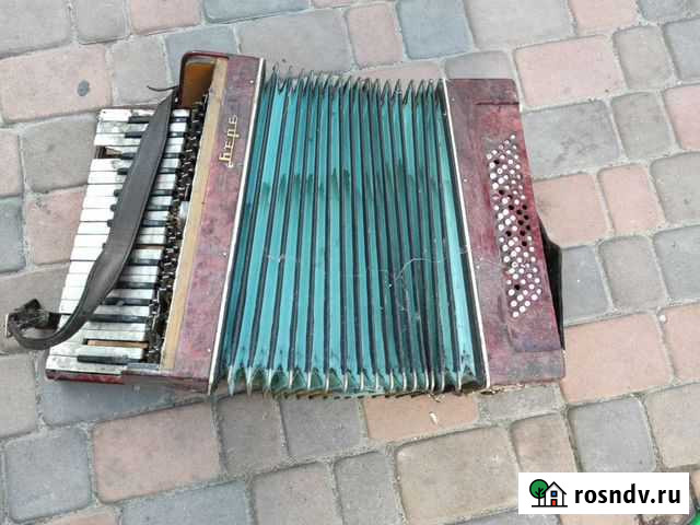 Баян Тамбов - изображение 1