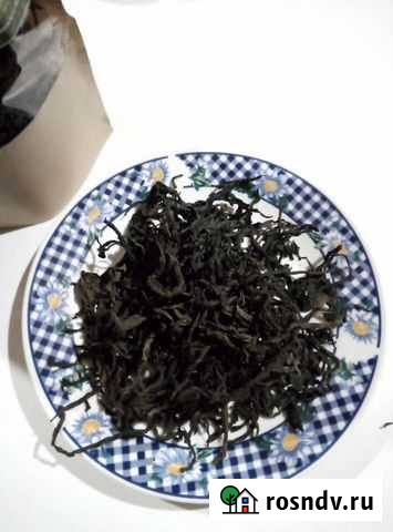 Иван-чай, кипрей Ишимбай - изображение 1