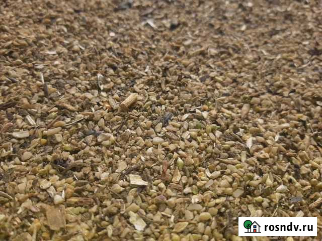 Отходы семечки Кизляр - изображение 1