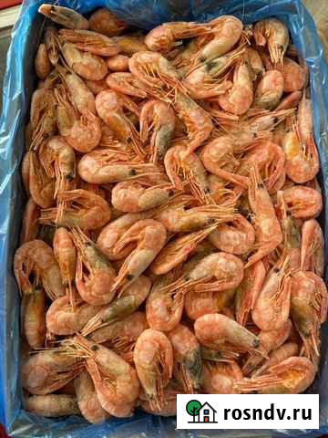 Креветки северные, магаданские, лангустины Дмитров - изображение 1