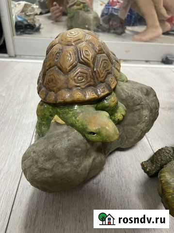 Черепаха Санкт-Петербург - изображение 1