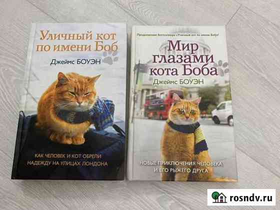 Книги про кота Боба Рыбинск