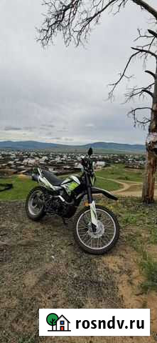 Райсер пантер Онохой - изображение 1