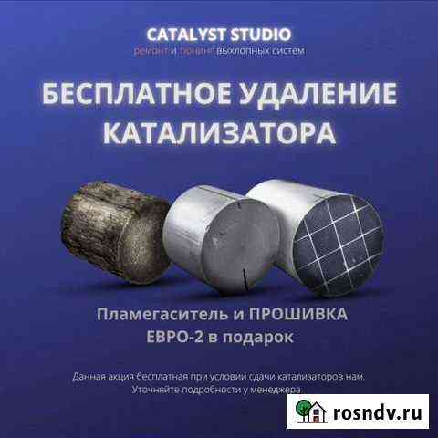 Бесплатное удаление катализаторов Нижний Новгород