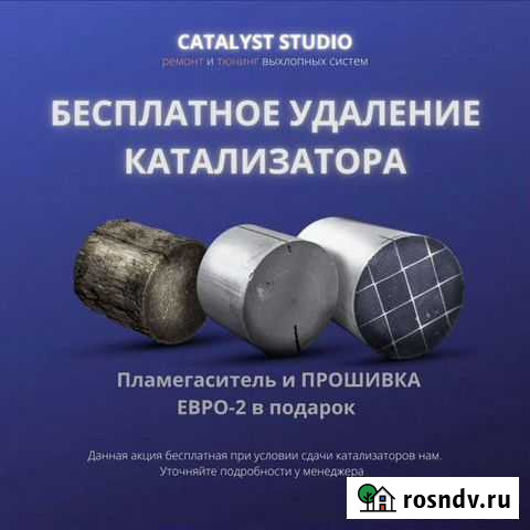 Бесплатное удаление катализаторов Нижний Новгород - изображение 1