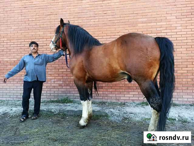 Владимирский тяжеловоз Новосибирск - изображение 1