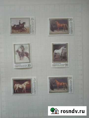 Марки. Портреты лошадей. СССР Троицк - изображение 1