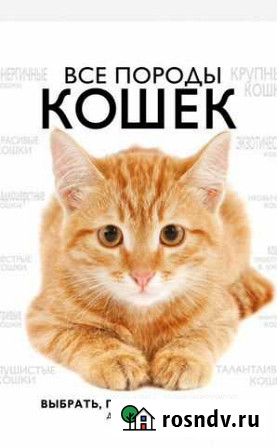 Книги подарочного формата 2 шт Артемовский - изображение 1