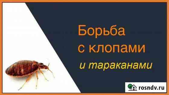 Дезинсекция клопов,тараканов Кемерово