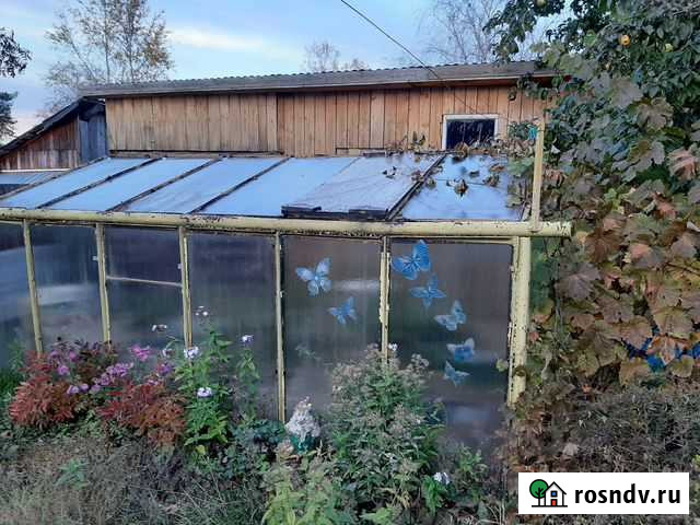 Стекла для теплицы 23 штуки ширина 65 высота140 Игра - изображение 1