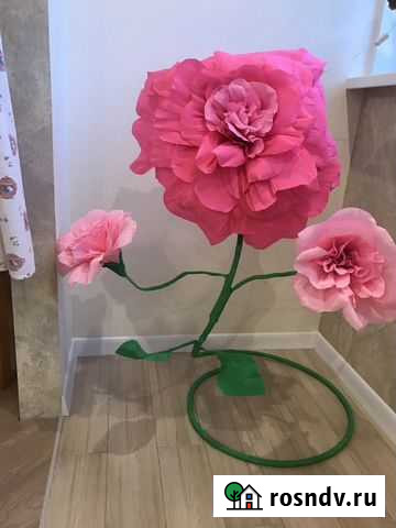 Большой Цветок Новороссийск - изображение 1