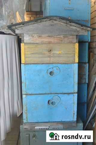 Продам ульи для пчел Киров - изображение 1