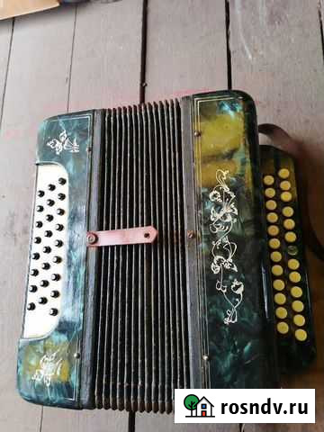 Гармонь Старая Русса - изображение 1