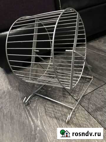 Колесо для грызунов Мурманск - изображение 1