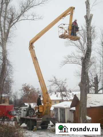 Спиливание деревьев Шуя - изображение 1