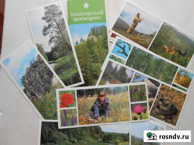 Набор открыток Башкирский заповедник Кумертау - изображение 1
