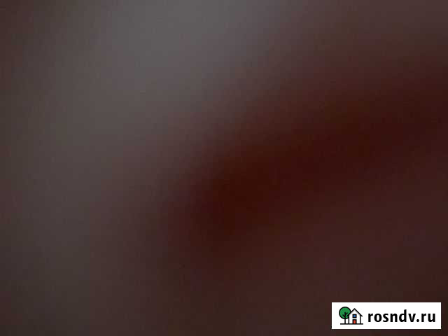 Шерсть овечья Ассиновская - изображение 1