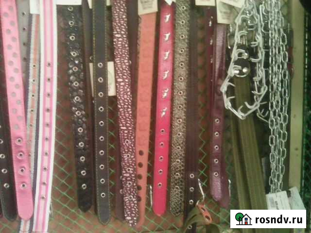 Ошейники Киров - изображение 1