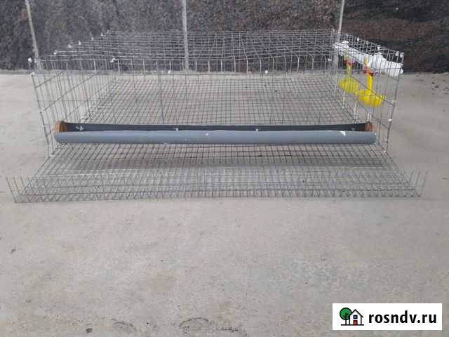 Клетки для перепелов и кур Сочи - изображение 1