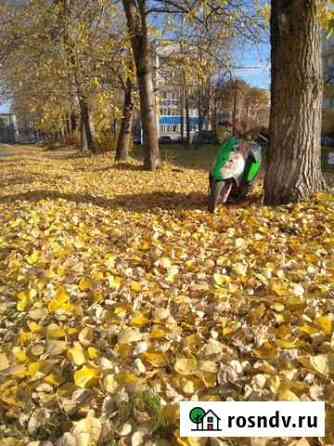 Сузуки сепия Малое Верево