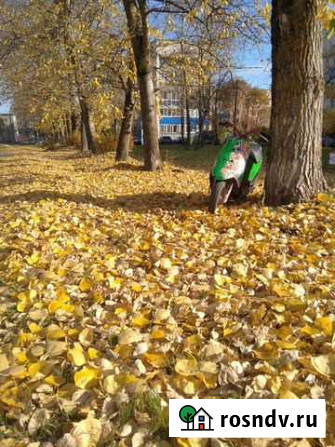 Сузуки сепия Малое Верево - изображение 1