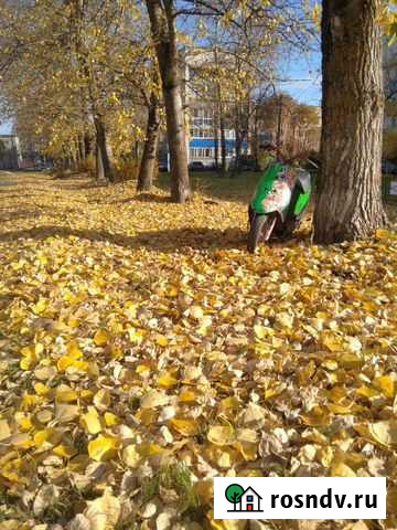 Сузуки сепия Малое Верево - изображение 1
