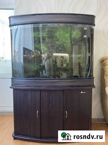 Продам большой аквариум Биробиджан - изображение 1