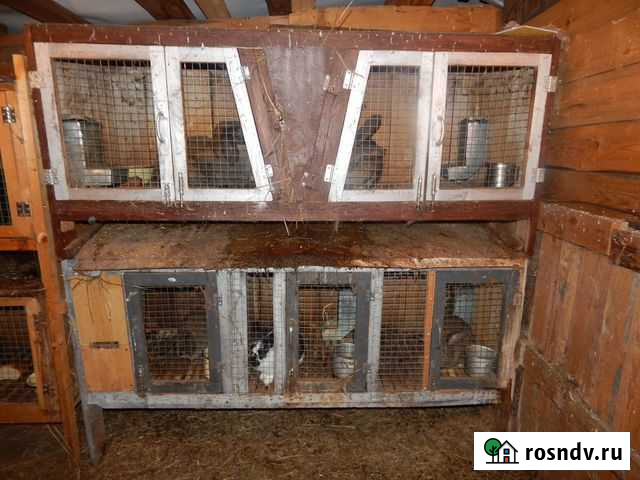 Кроличьи клетки Выкса - изображение 1