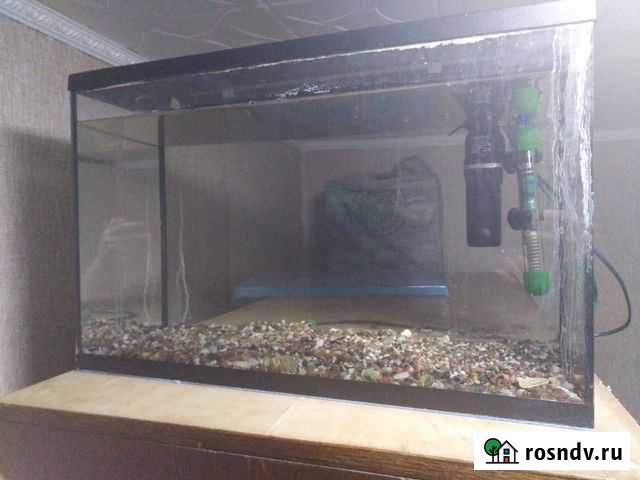 Аквариум Новозыбков - изображение 1