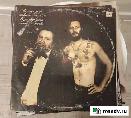 Борис Гребенщиков винил Новосибирск - изображение 1