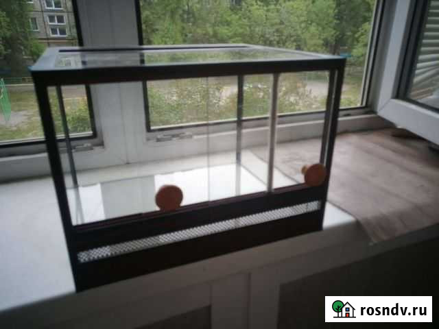 Террариум для эублефара Челябинск - изображение 1